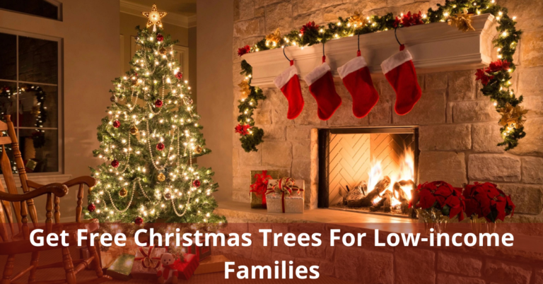 Get Free Christmas Trees For Low-income Families 2022