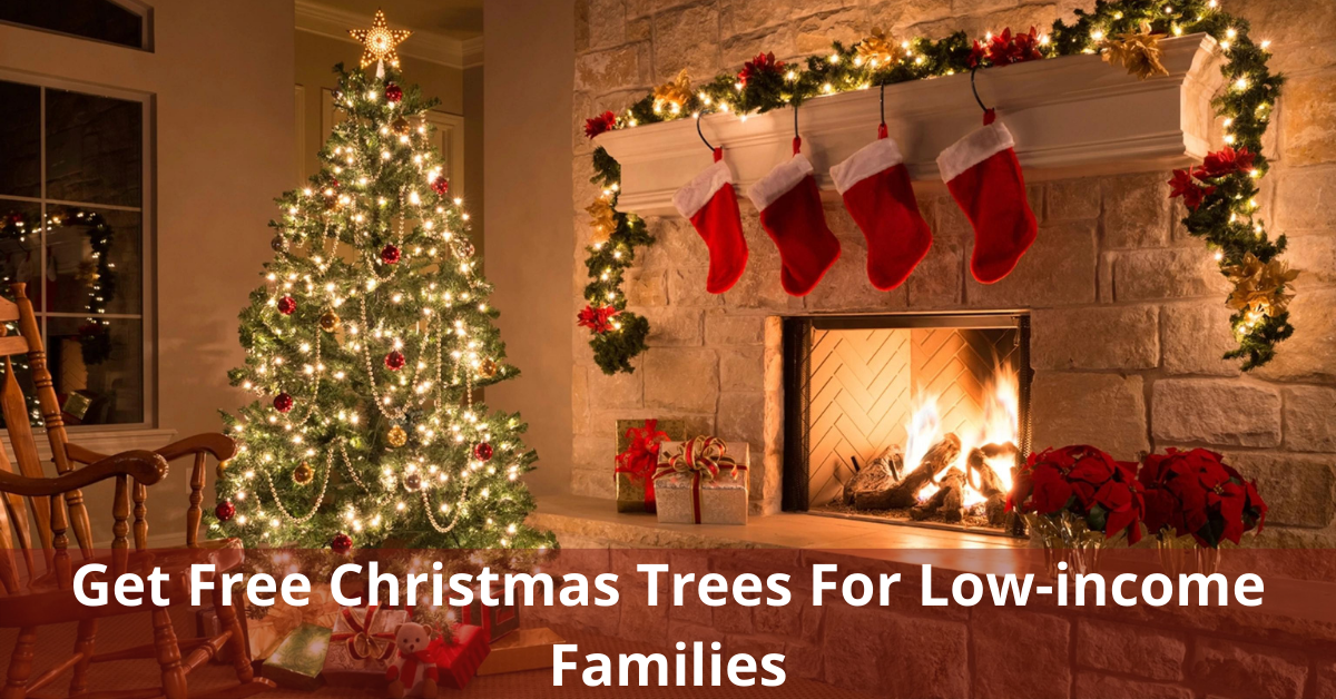 Get Free Christmas Trees For Low-income Families